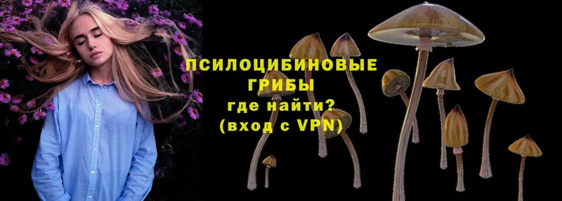 OMG ТОР  Кандалакша  Галлюциногенные грибы MAGIC MUSHROOMS 